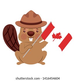 beaver with canadian flag happy canada day vector illustration  