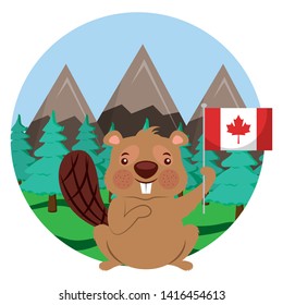 beaver with canadian flag happy canada day vector illustration  