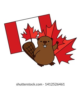 beaver with canadian flag and maple leaf