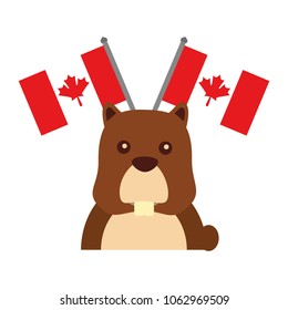 beaver with canadian flags