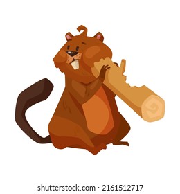 Beaver cartoon illustration. Cute rodent with saw, meter ruler and hummer gnawing wood, sitting in lotus pose on white background