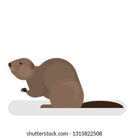 Beaver character. Brown mammal animal. Forest and wildlife. Long teeth. Isolated vector illustration in cartoon style