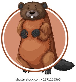 Beaver in circle banner illustration