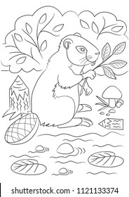 Beaver coloring page. Forest Animals outline. Coloring page outline of cartoon. Wild animals coloting page. Children background