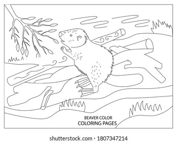 Beaver coloring pages. animal coloring page.easy animal coloring page design