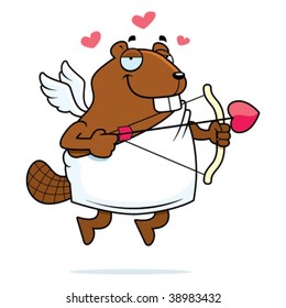 Beaver Cupid