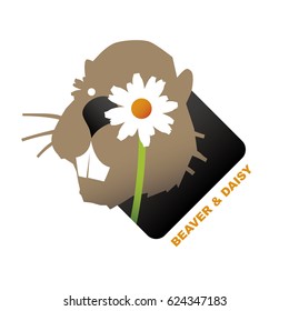 The Beaver and a daisy flower in vector cartoon illustration isolated on white background.
