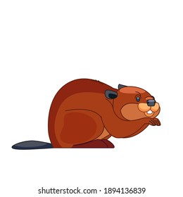Beaver eating plant. Cartoon vector flat illustration isolated on white background.
