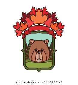 Beaver forest animal of canada design