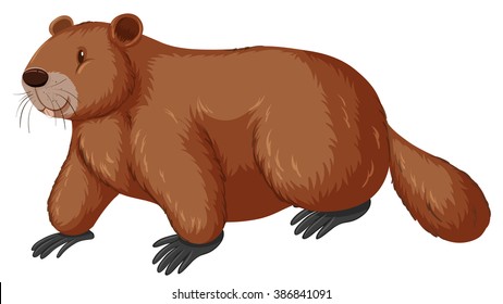 Beaver with happy face illustration