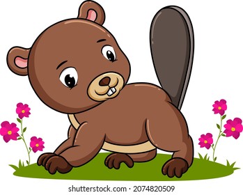 The beaver happy is playing in the garden of illustration