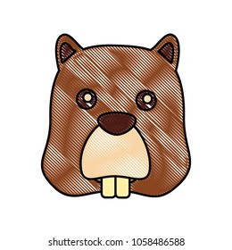 beaver head animal rodent image