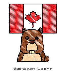 beaver head rodent with canadian flag