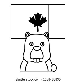 beaver head rodent with canadian flag