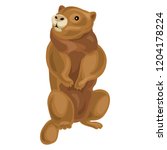 Beaver icon. Cartoon of beaver vector icon for web design isolated on white background