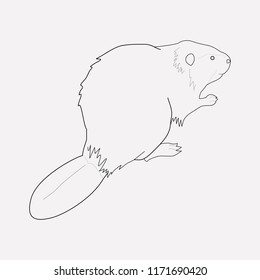 Beaver icon line element. Vector illustration of beaver icon line isolated on clean background for your web mobile app logo design.