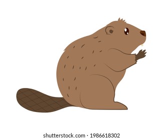 beaver icon on white background