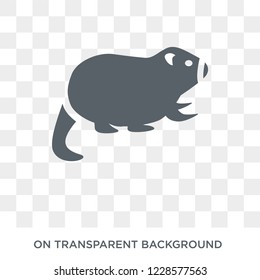 Beaver icon. Trendy flat vector Beaver icon on transparent background from animals collection. 
