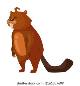 Beaver illustration. Cute rodent with saw, meter ruler and hummer gnawing wood, sitting in lotus pose on white background