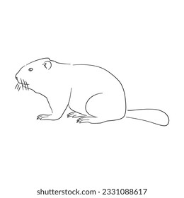 Beaver illustration in doodle style. Vector isolated on a white background. 