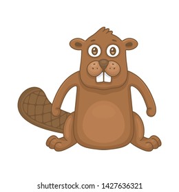 Beaver. isolated on white background