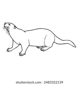 beaver line vector illustration,isolated on white background,top view