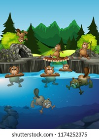 Beaver living in the lake illustration