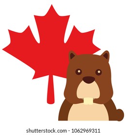 beaver with maple leaf