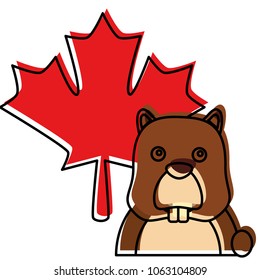 beaver with maple leaf