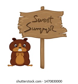 Beaver near wooden signboard with the inscription "Sweet summer" in vector. Cartoon illustration