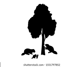 Beaver is nibbling tree beaver family. Vector illustrator