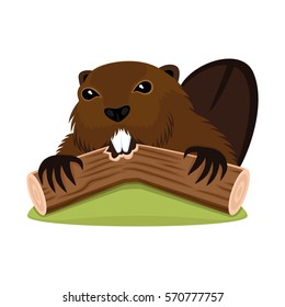 Beaver on a white background.