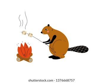 Beaver Roasting Marshmallows on Bonfire, Animal Character Having Hiking Adventure Travel or Camping Trip Vector Illustration