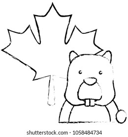 beaver rodent maple leaf canadian concept