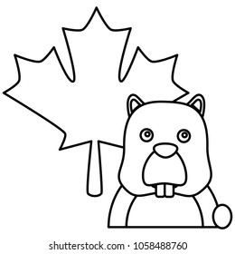 beaver rodent maple leaf canadian concept