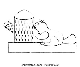 beaver rodent stump wildlife fauna