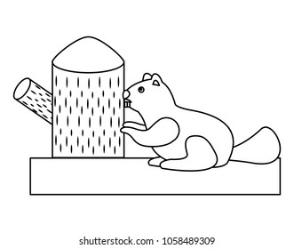 beaver rodent stump wildlife fauna
