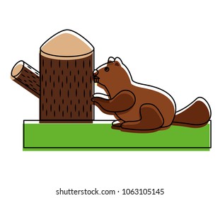 beaver rodent with trunk tree