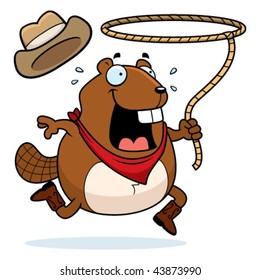 Beaver Rodeo