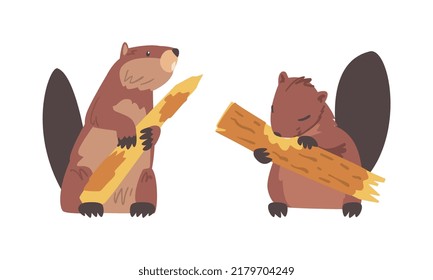 Beaver Semiaquatic Rodent with Brown Fur and Long Snout Gnawing Wood Vector Set