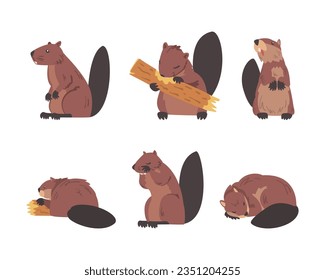 Beaver Semiaquatic Rodent with Brown Fur and Long Snout Vector Set