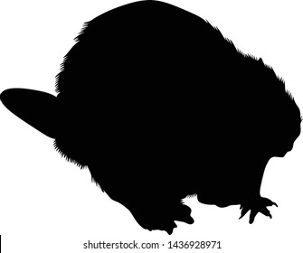 Beaver Silhouette Images, Stock Photos & Vectors | Shutterstock