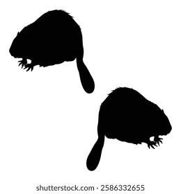 Beaver Silhouette, Beaver illustration, Beaver icon Silhouette, Beaver Silhouette illustration