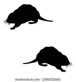 Beaver Silhouette, Beaver illustration, Beaver icon Silhouette, Beaver Silhouette illustration