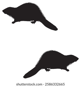 Beaver Silhouette, Beaver illustration, Beaver icon Silhouette, Beaver Silhouette illustration