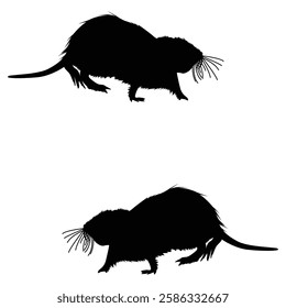 Beaver Silhouette, Beaver illustration, Beaver icon Silhouette, Beaver Silhouette illustration