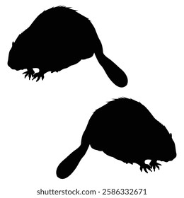 Beaver Silhouette, Beaver illustration, Beaver icon Silhouette, Beaver Silhouette illustration