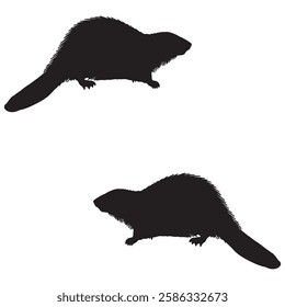 Beaver Silhouette, Beaver illustration, Beaver icon Silhouette, Beaver Silhouette illustration