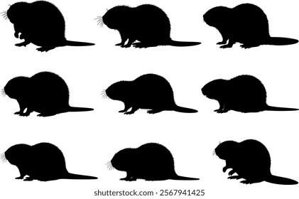 Beaver silhouette on white background