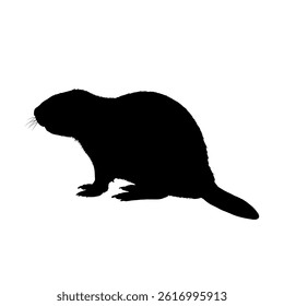 Beaver silhouette – vector illustration